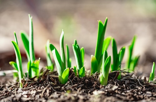 �����ضșz�y(c��)�x