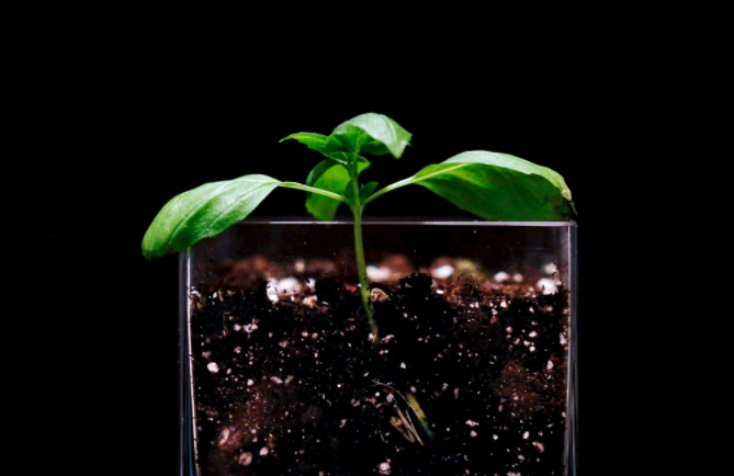 �����B(y��ng)���ٜy(c��)�x