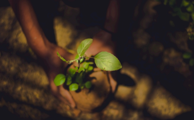 �����B(y��ng)���ٜy(c��)�x 