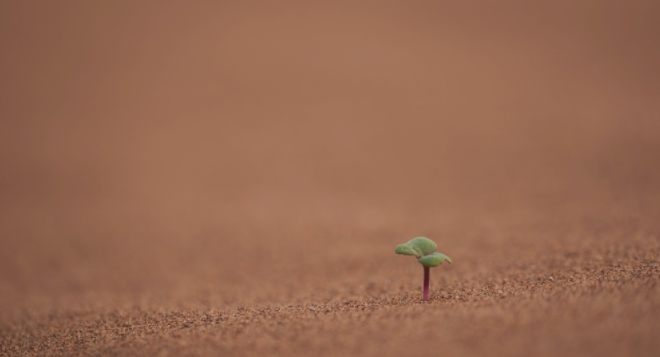 ��������O(ji��n)�y(c��)ϵ�y(t��ng)