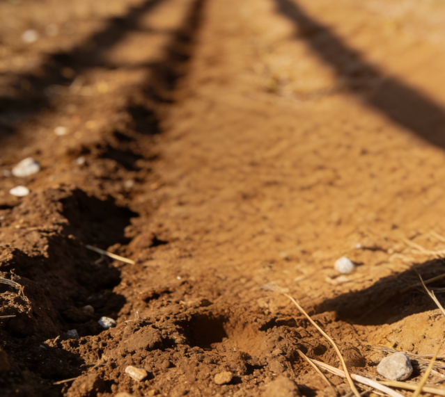 һ�wʽ����Ӳ��Ӌ(j��)�����ٙz�y(c��)�����o��(sh��)�ȵı�y����